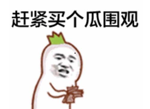 vip吃瓜群众123,揭秘娱乐圈幕后风云