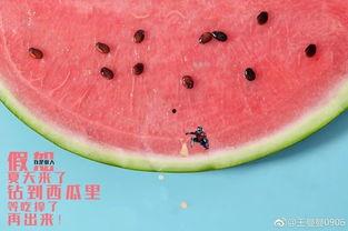 境界吃瓜,揭秘娱乐圈背后的秘密与八卦