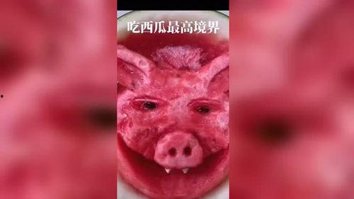 境界吃瓜,揭秘娱乐圈背后的秘密与八卦