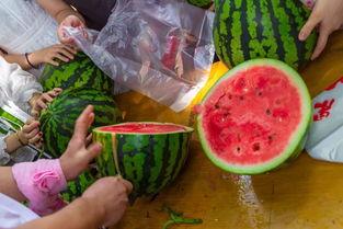 宿舍群吃瓜名称,揭秘校园生活那些事儿