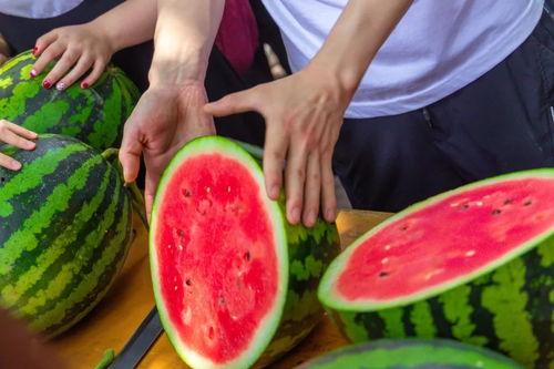 宿舍群吃瓜名称,揭秘校园生活那些事儿