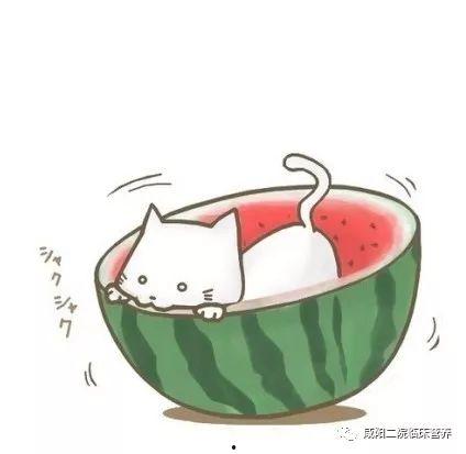 吃瓜动漫头像,趣味横生的二次元世界