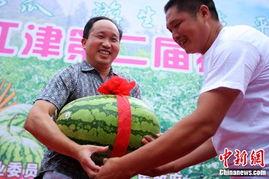 重庆区长吃瓜,一场意外的网络热议