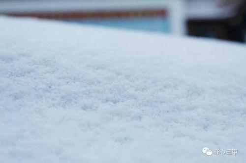 吃瓜雪憨憨,网络热词背后的趣味与思考