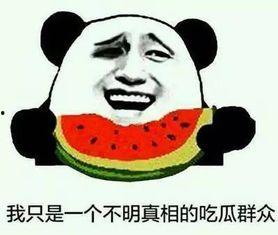 吃瓜吃到心累视频,从娱乐狂欢到身心俱疲