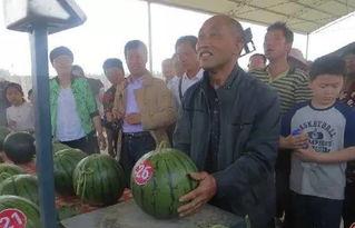 西固吃瓜群众,揭秘社区生活百态