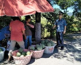 西固吃瓜群众,揭秘社区生活百态