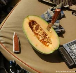 作者吃瓜的瓜,吃瓜群众眼中的瓜界风云录