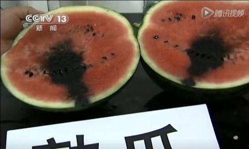 吃瓜视频真实案例,网络直播背后的真实故事