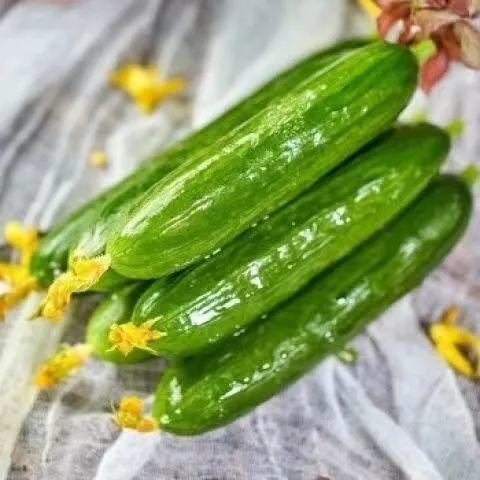 什么季节吃施瓜,跟随季节品尝施瓜的鲜美滋味