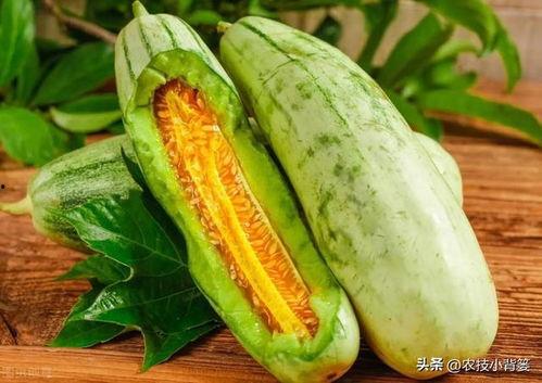 为什么吃瓜不能吃,为何吃瓜需谨慎，避免健康风险