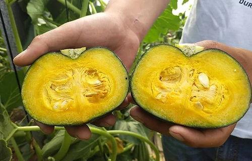 贝贝姐吃瓜,揭秘娱乐圈幕后故事