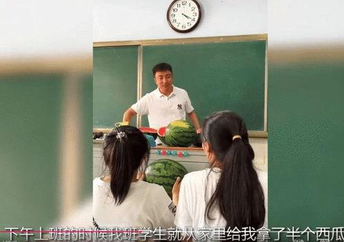 吃瓜教师学院,揭秘教育界的趣味与智慧
