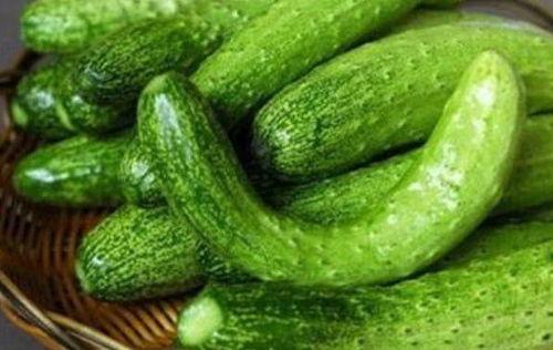 元氏吃瓜,揭秘当地特色美食背后的故事