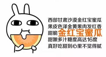 吃瓜群众在线吃瓜怎么回,吃瓜群众在线吃瓜，揭秘网络舆论场