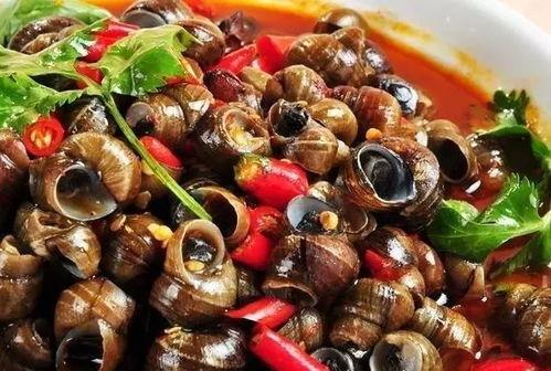 田螺吃瓜视频,揭秘美食界的奇妙组合